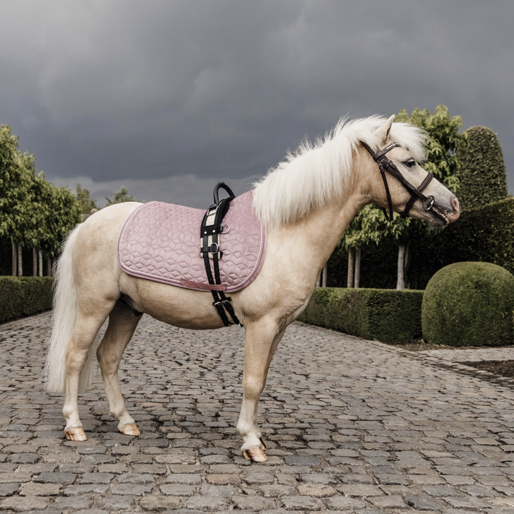 Tapis de selle Poney Velvet Kentucky - Cheval/Tapis de selle poney -  sellerie-de-peruwelz