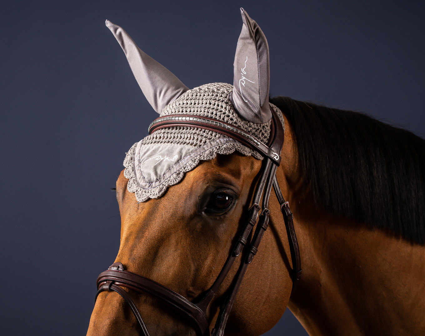 Accessoire de têtière Halloween citrouilles - Cheval/Bonnets anti-mouches -  sellerie-de-peruwelz