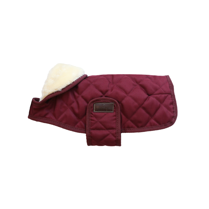 manteau chien bordeaux