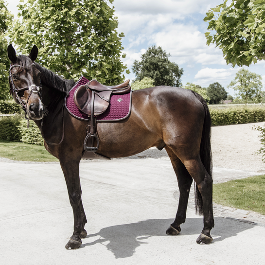 Tapis de selle cheval Classic cuir - Kentucky Horsewear - KENTUCKY