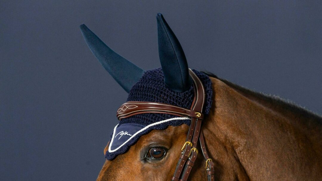 bonnet-anti-bruit-diamond-bleu-pony-2