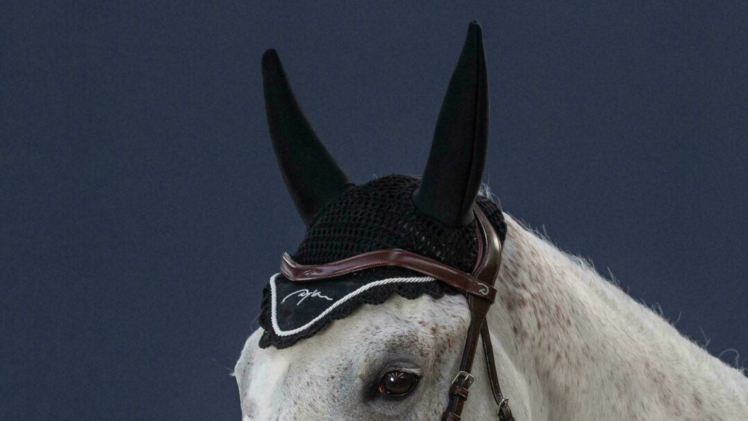 bonnet-anti-bruit-diamond-noir-pony-2