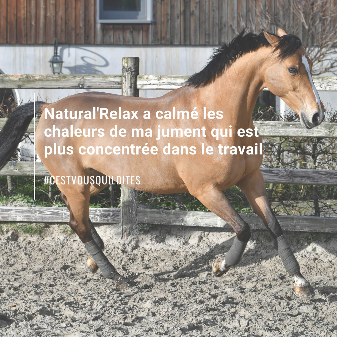 CVQLD_Relax_4