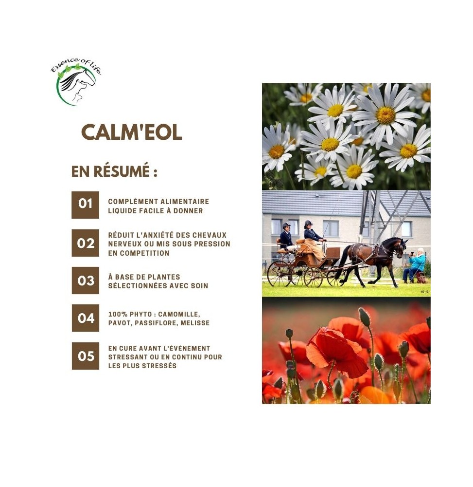 calm-eol (1)