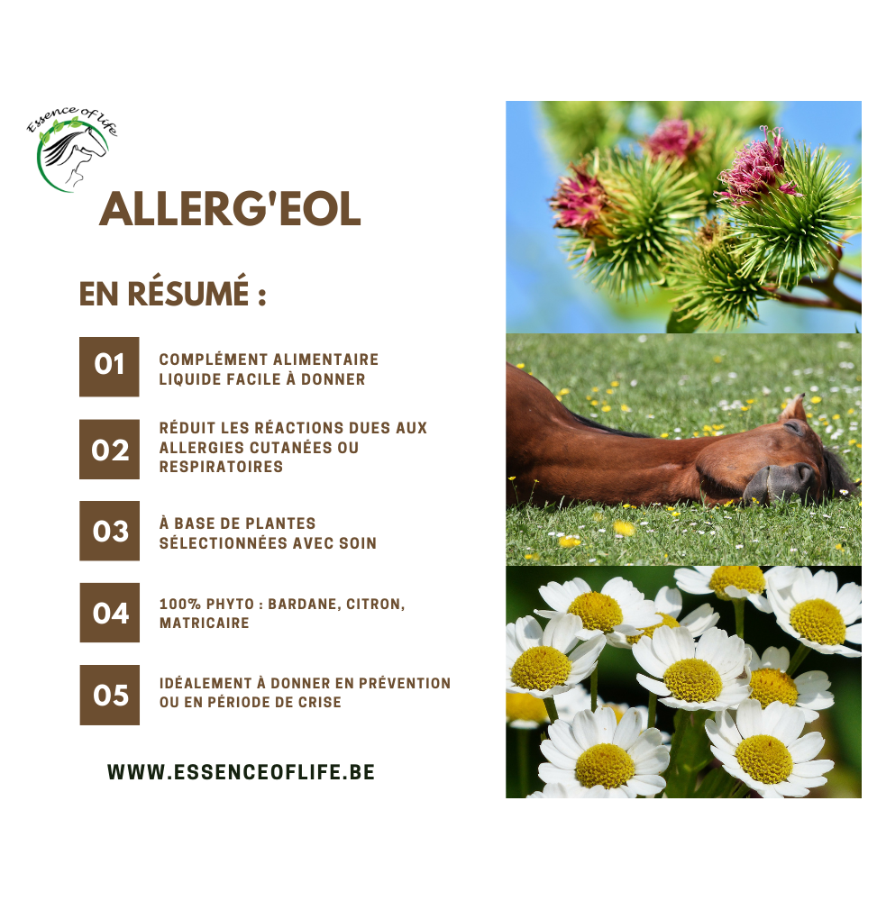allerg-eol (1)