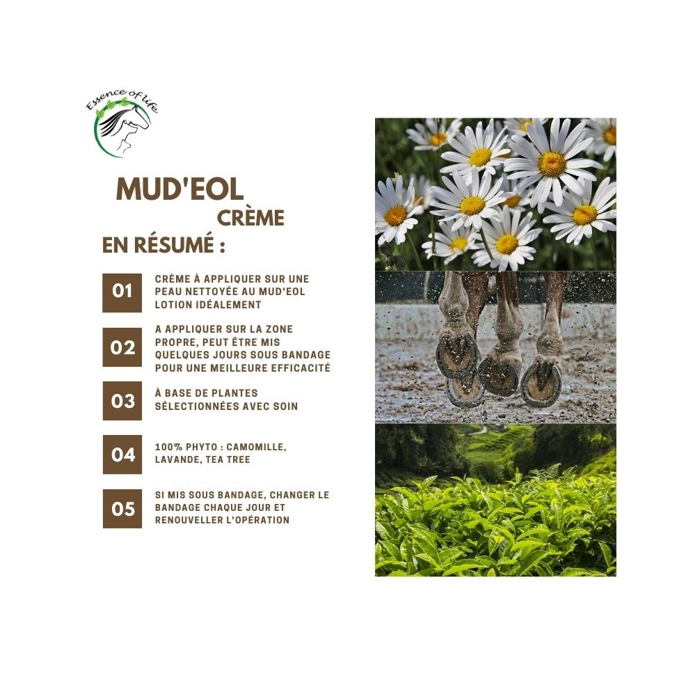 mud-eol-creme (1)