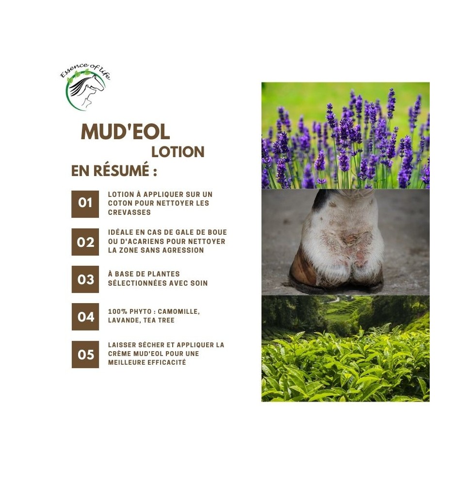 mud-eol-lotion (1)