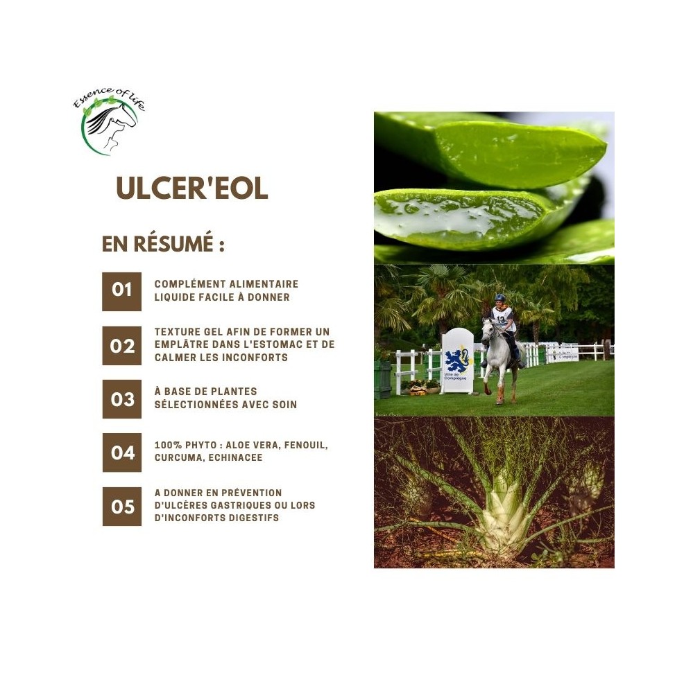 ulcer-eol (1)