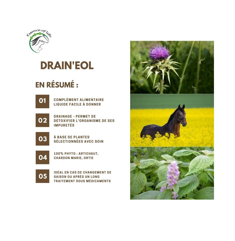 drain-eol (1)