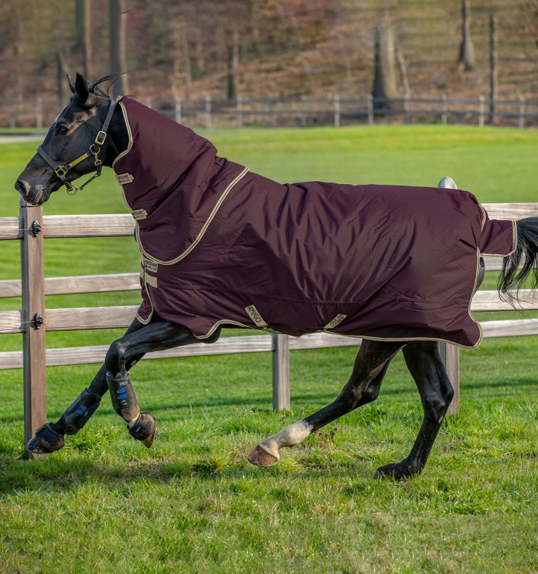 Couverture pluie cheval Hero 900D Lite 0g Amigo Horseware - Couverture  imperméable cheval - Le Paturon