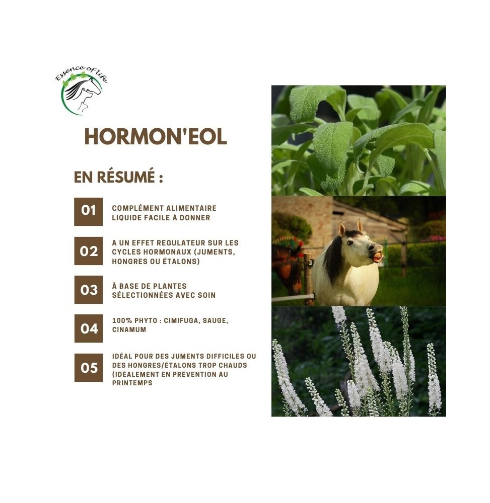 hormon-eol-stress-hormones