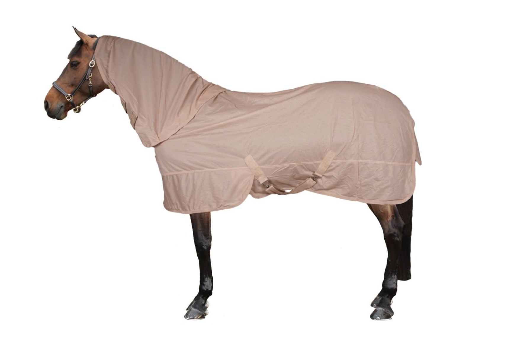 couverture-anti-mouches-covalliero-irishcream