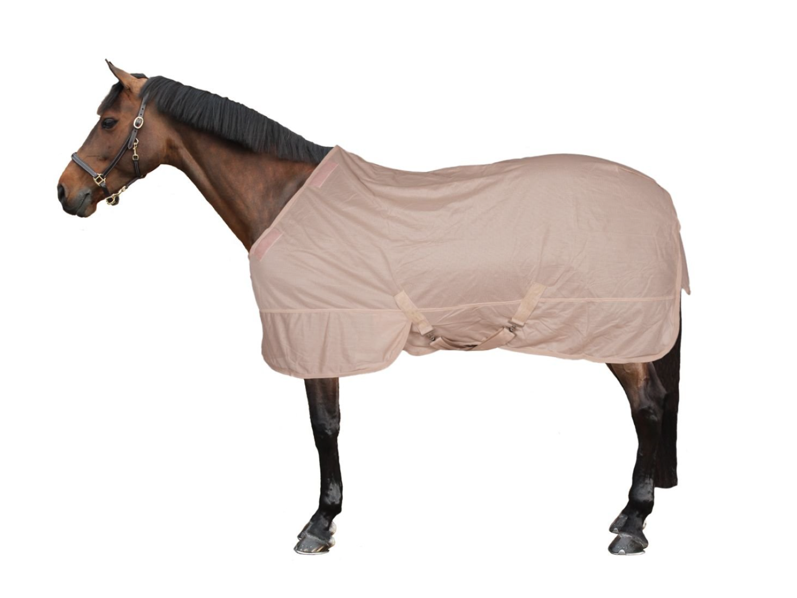 couverture-anti-mouches-covalliero-irishcream-1