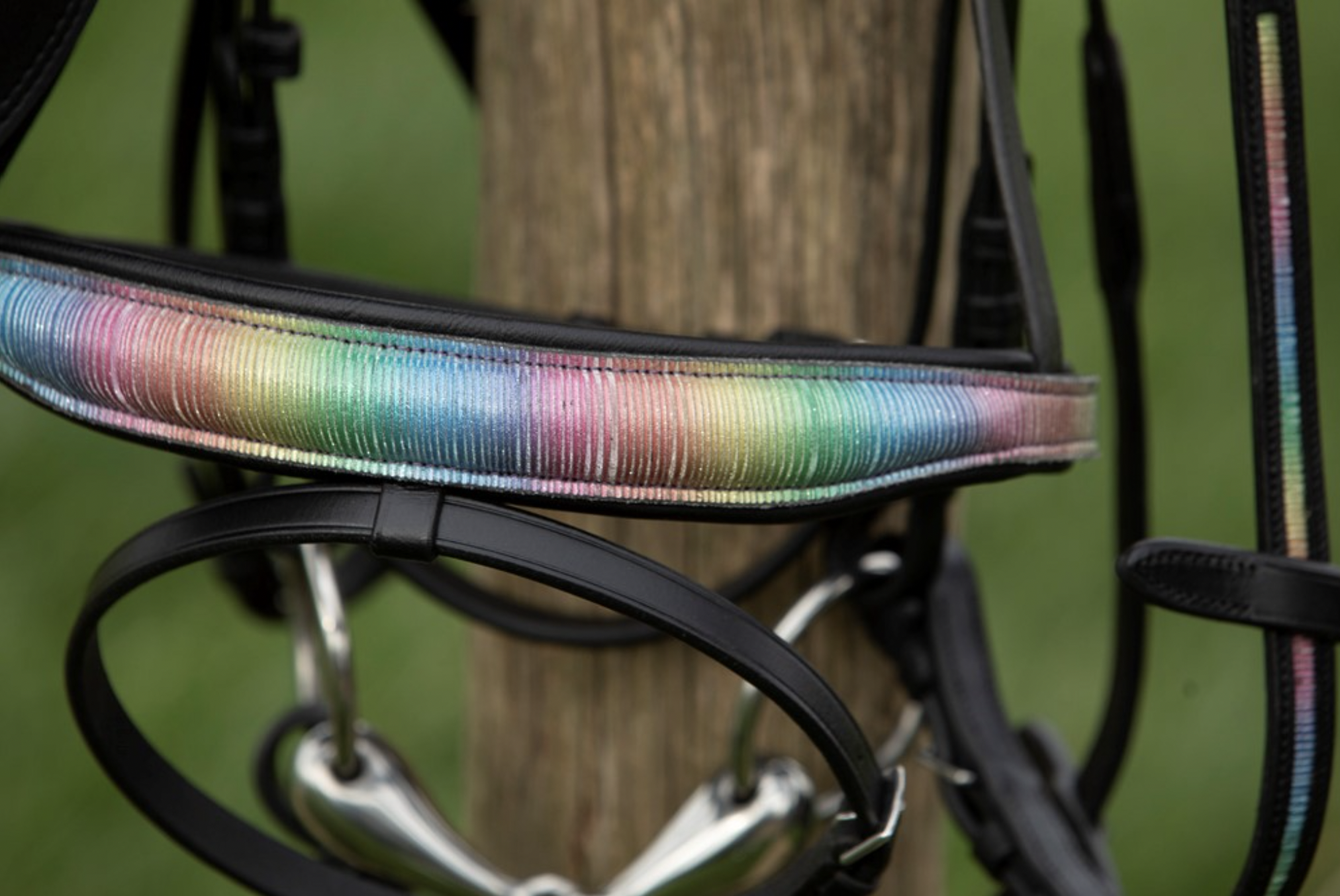bridon-rainbow-mini-shetland-2