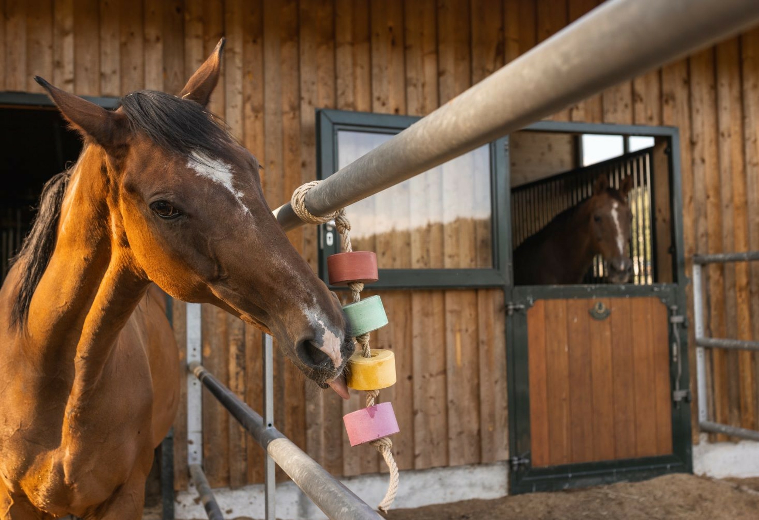 pierre-de-sel-lolly-lick-camomille1