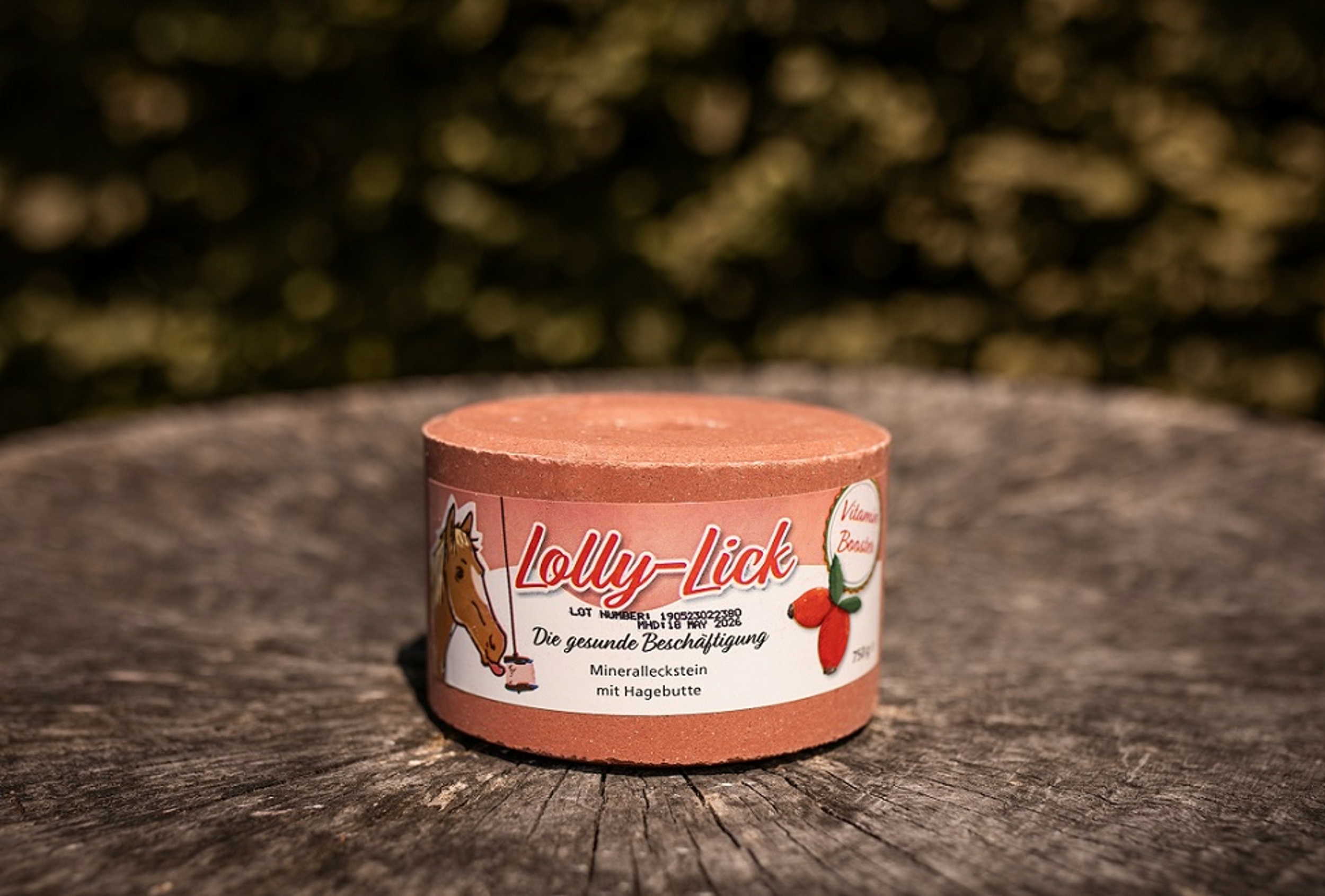 Lolly-Lick-cynorhodon-1
