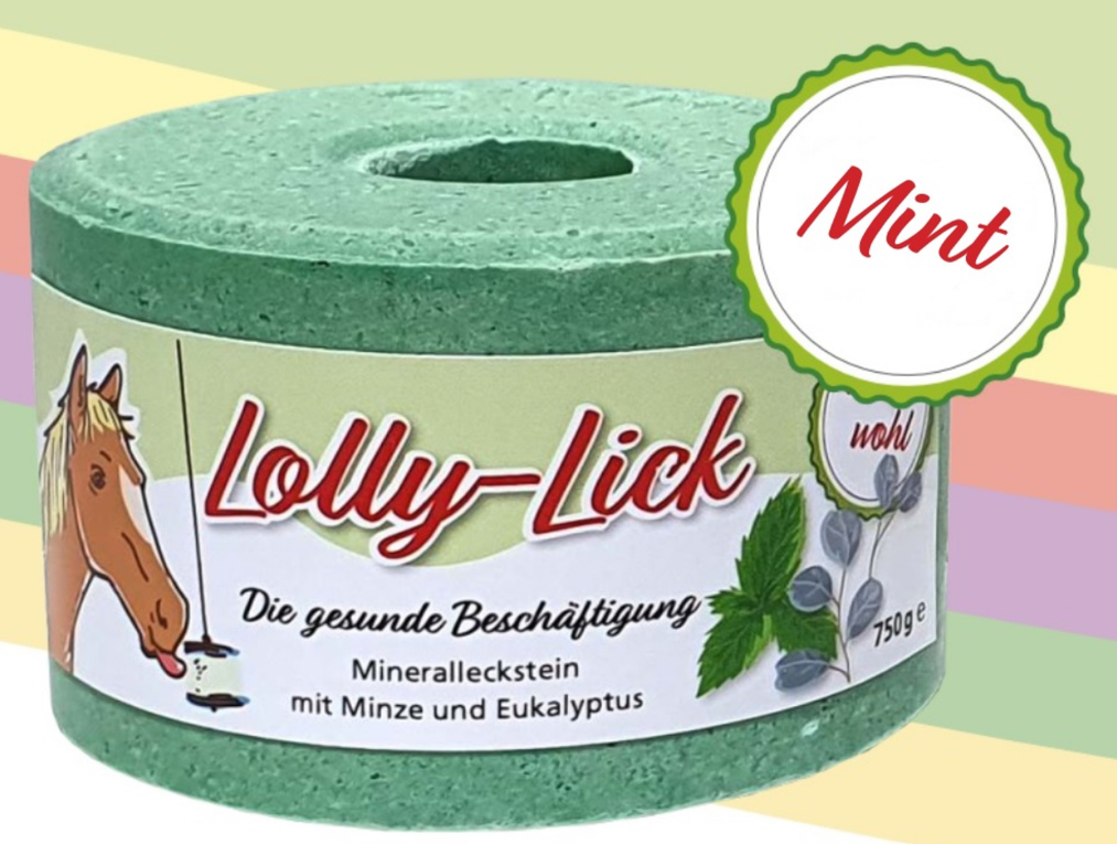 1-lolly-lick-menthe-pierre-de-sel