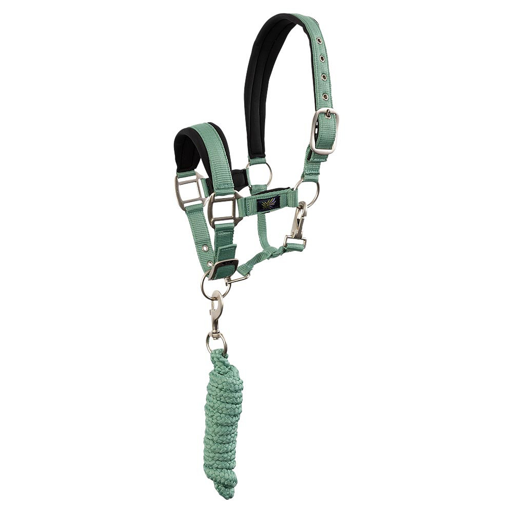 licol-mini-horse-vert-232332_G112_01