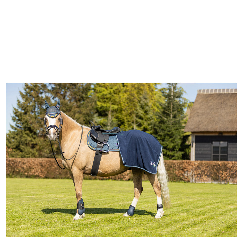 tapis-de-selle-br-mini-horse-navy-165247_L102_42