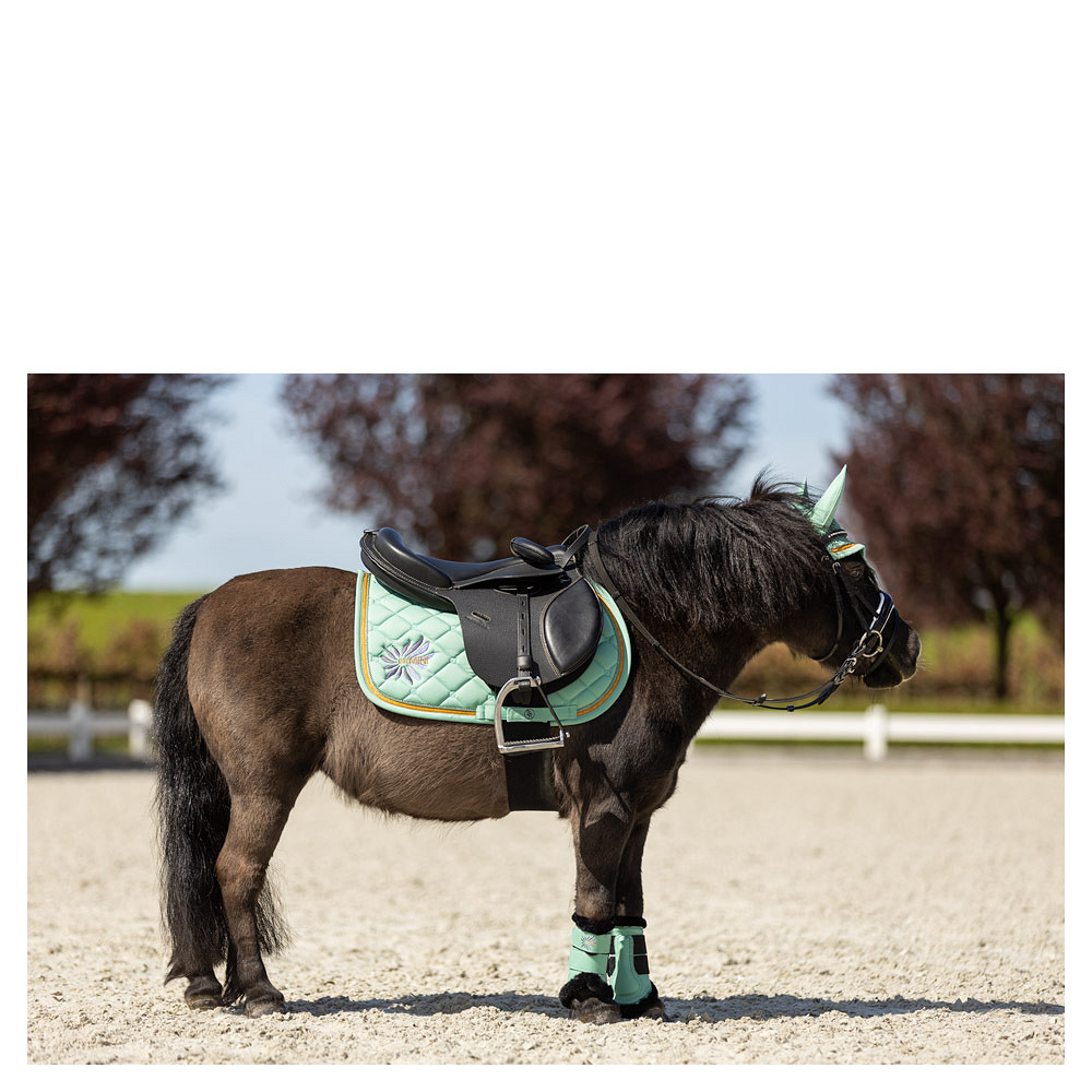 tapis-de-selle-br-mini-horse-vert-165247_G112_42