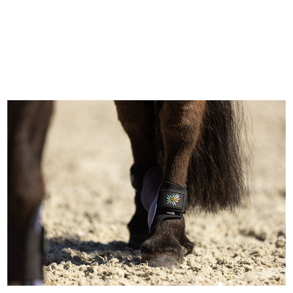 proteges-tendons-br-mini-horse-mauve-296143_P119_41