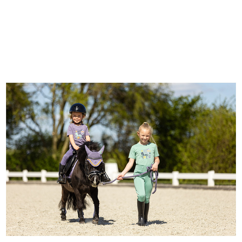 bonnet-br-mini-horse-374348_P119_41