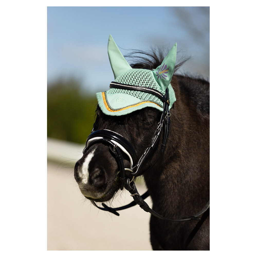 bonnet-br-mini-horse-vert-374348_G112_41