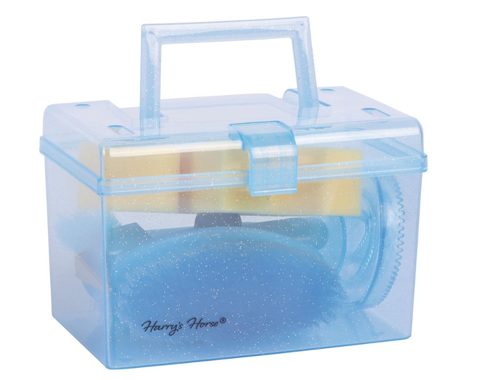 mini-gift-box-bac-a-brosses-bleu-1
