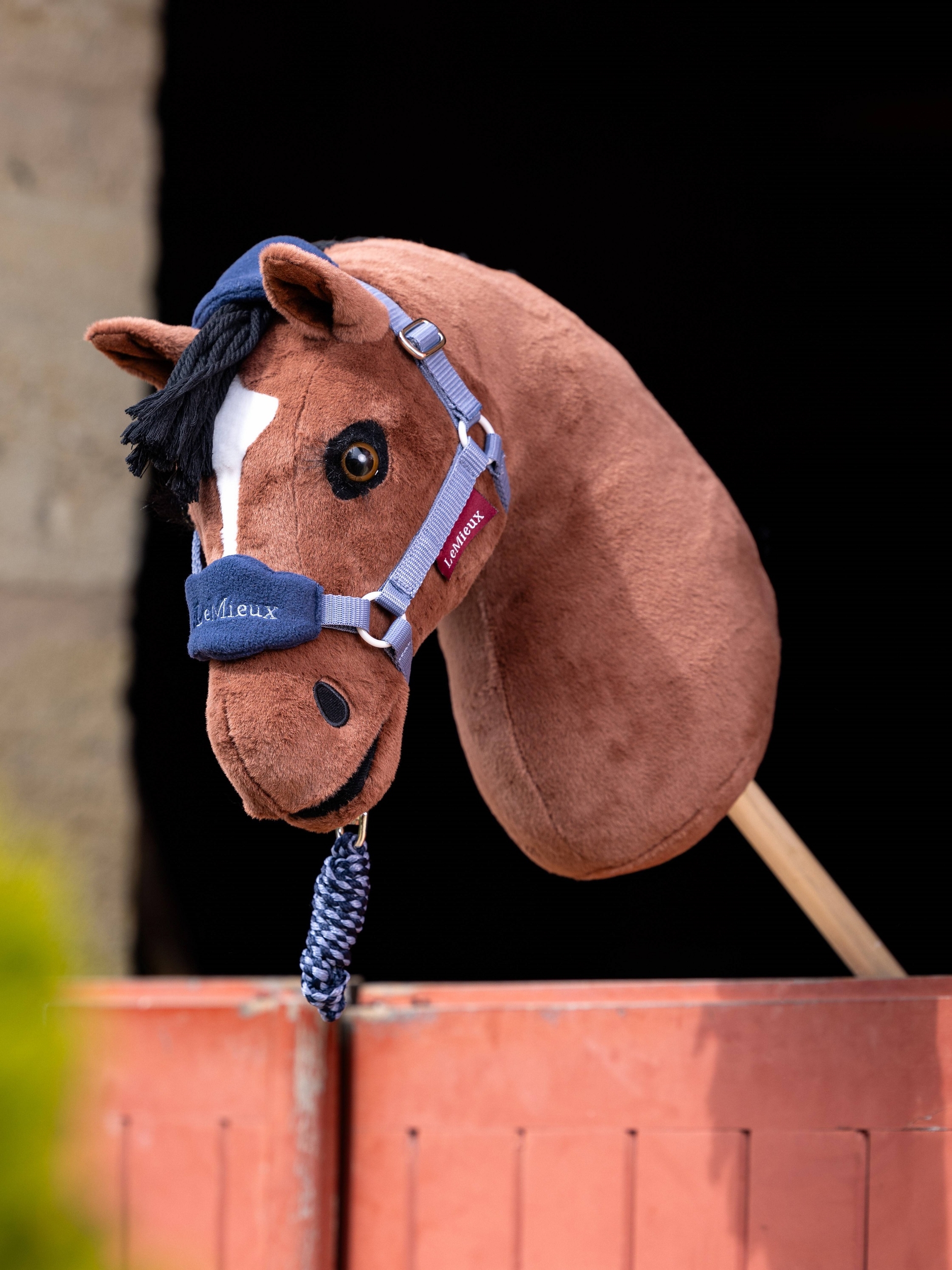 licol-pour-hobby-horse-lemieux-glacier-2