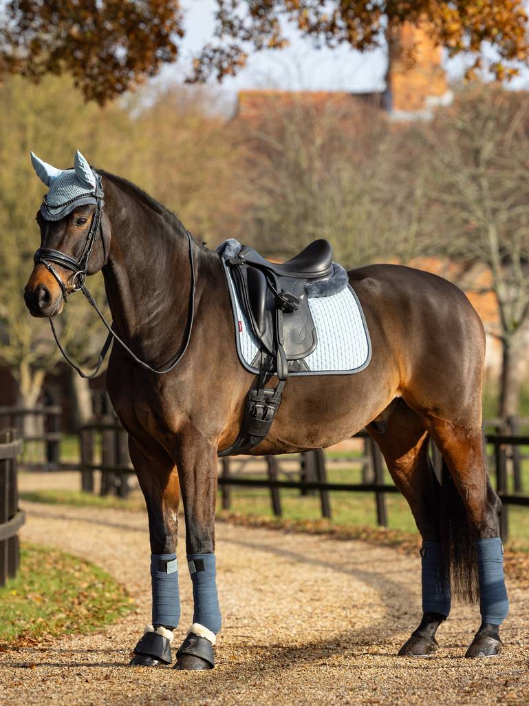 tapis-lemieux-suede-dressage-glacier1