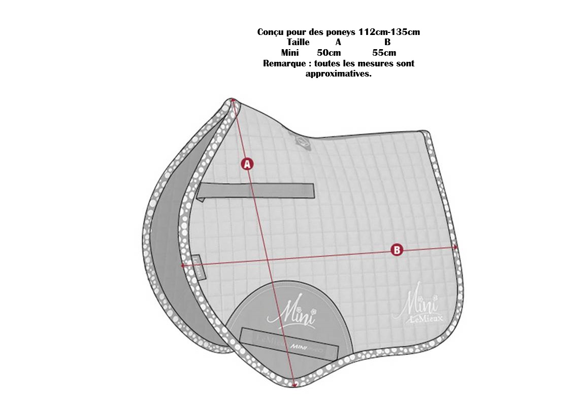 Mini-Pad Size Guide2 copy