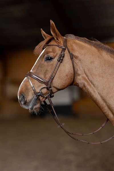 bridon-round-hfi-cuir