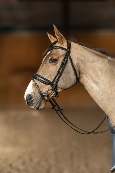 hfi-edge-bridon-cuir
