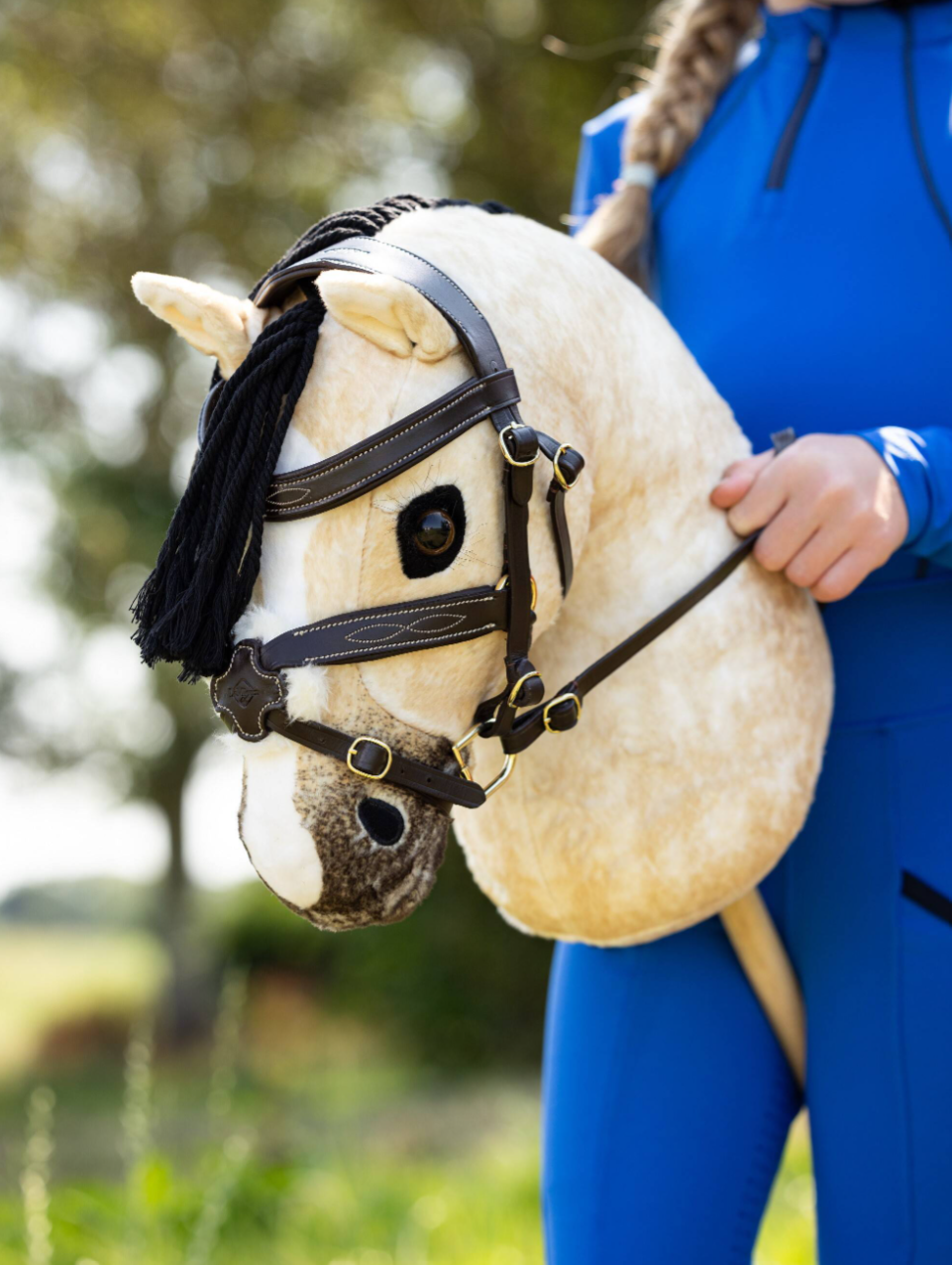 hobby-horse-dream-1