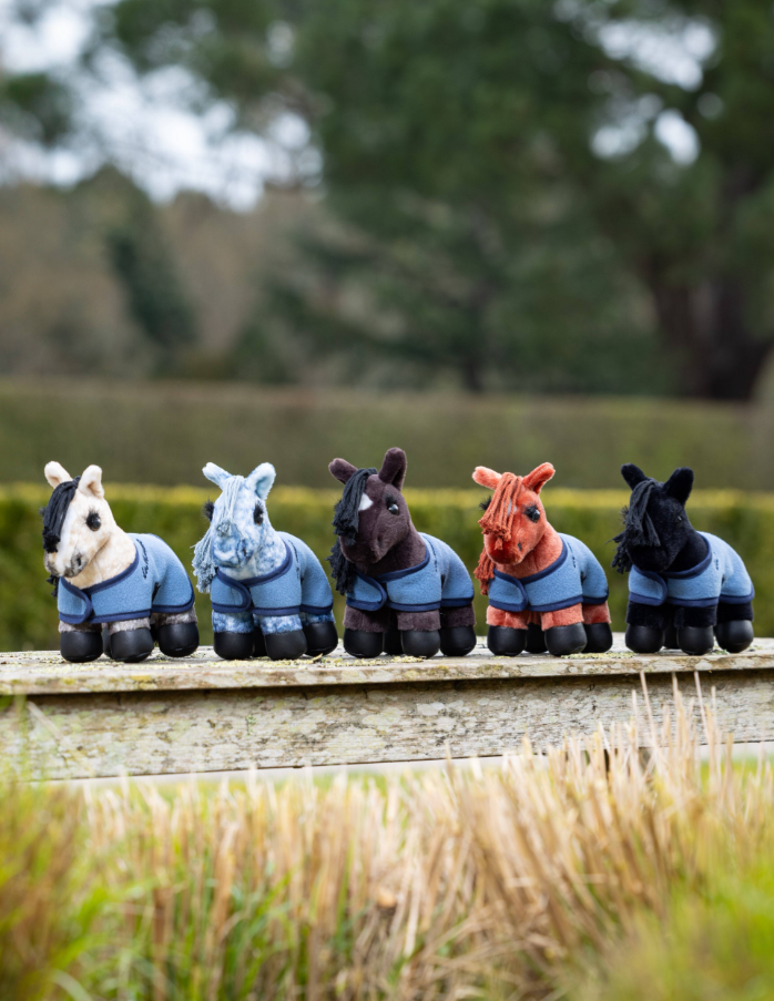 tiny-pony-freya-4