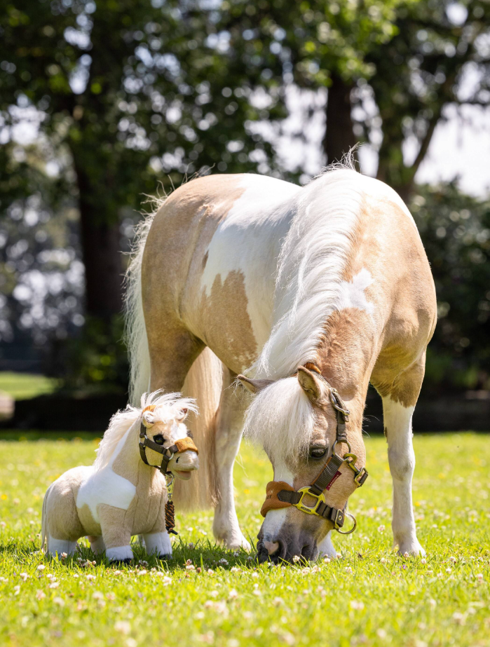 toy-poney-lemon-hobby-horse-lmx2