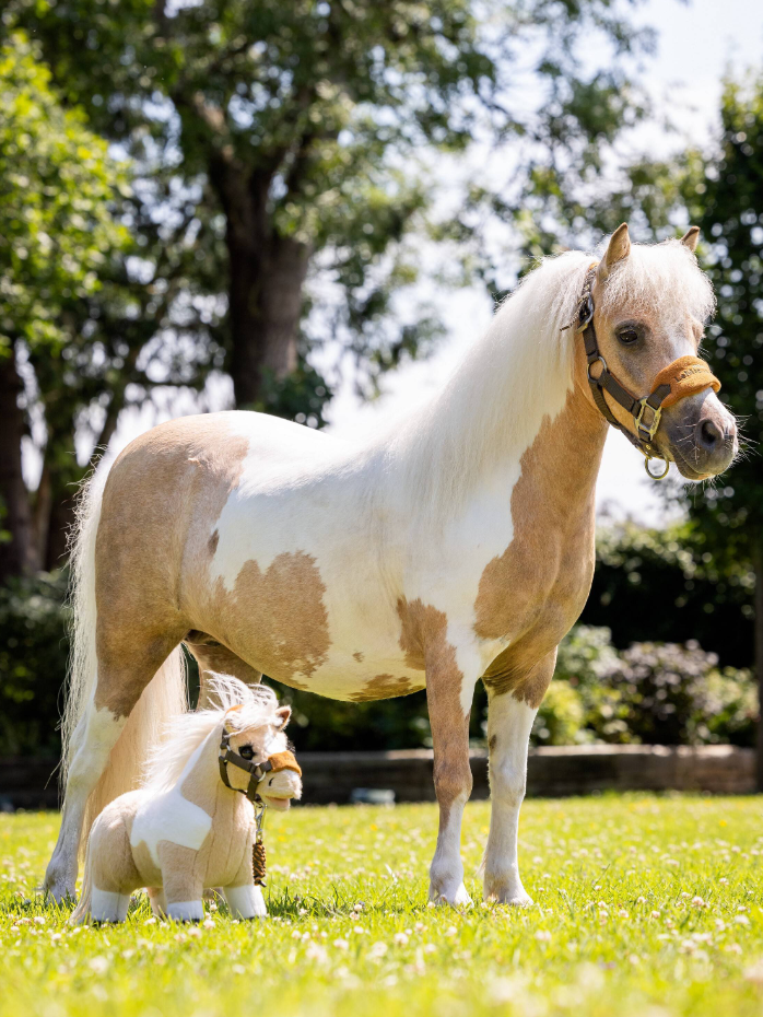 toy-poney-lemon-hobby-horse-lmx1
