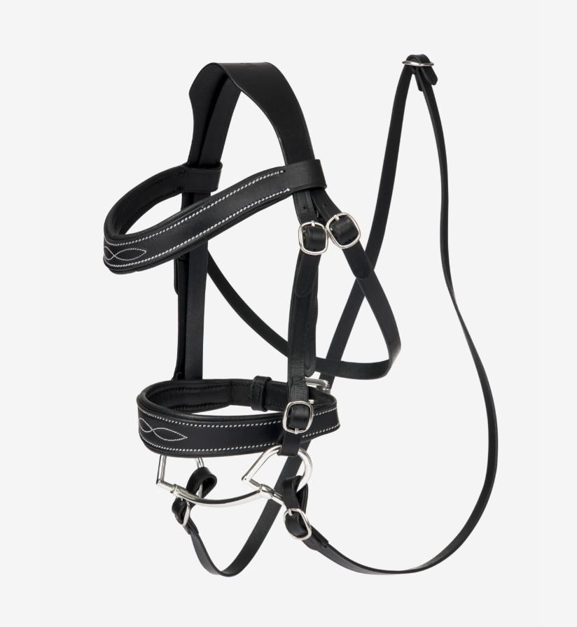 bridon-de-competition-hobby-horse