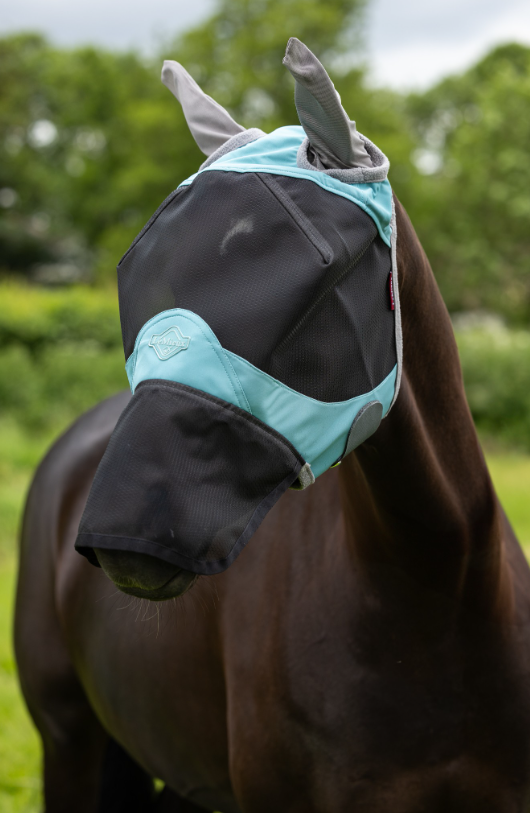 masque-lemieux-visor-tek1-lagoon1