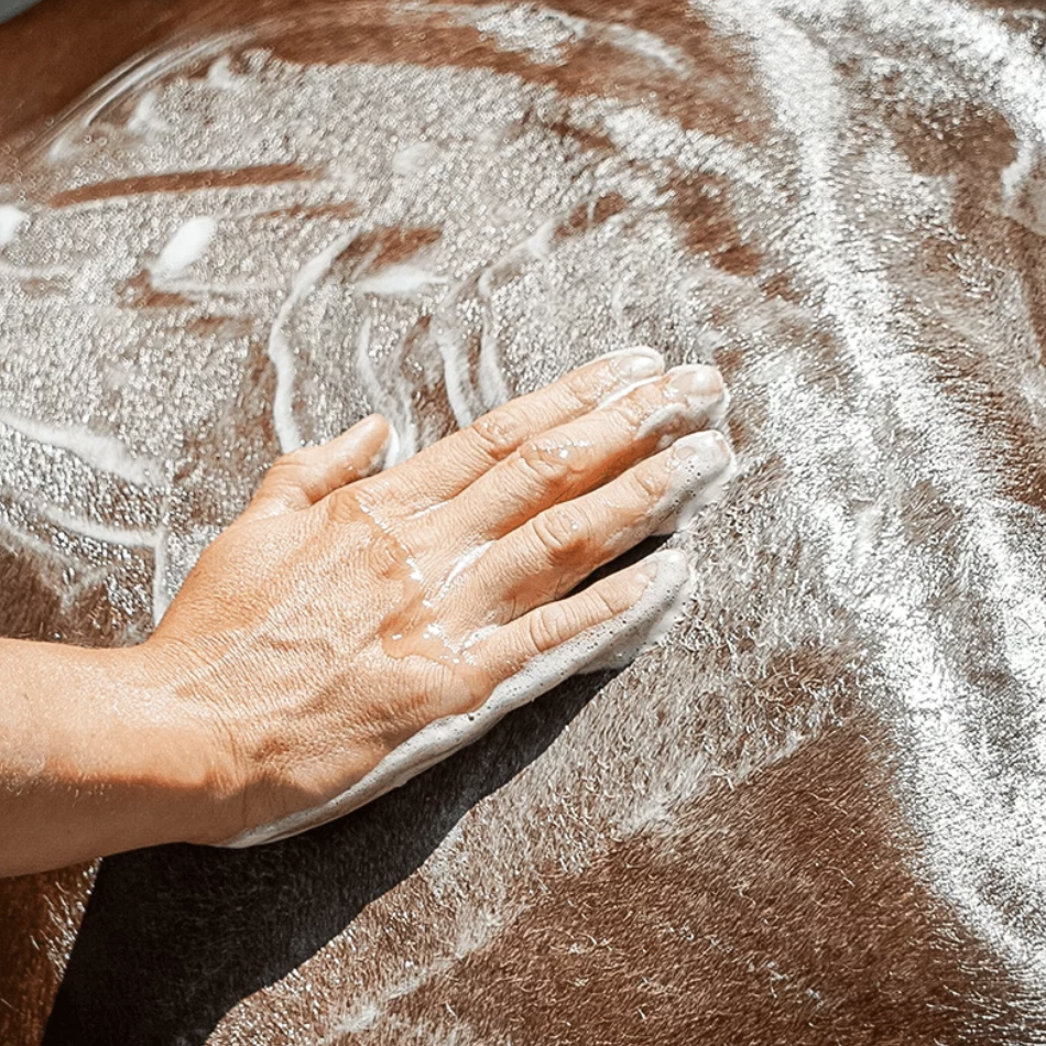 emouchine-shampoo-mouches-1