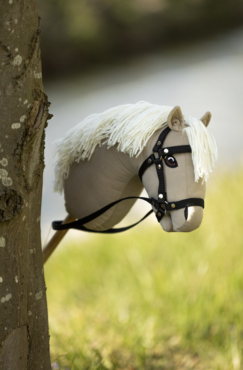 hobby-horse-br-1