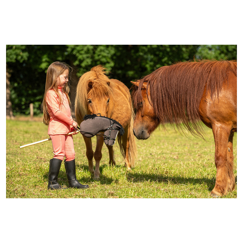 hobby-horse-br-4