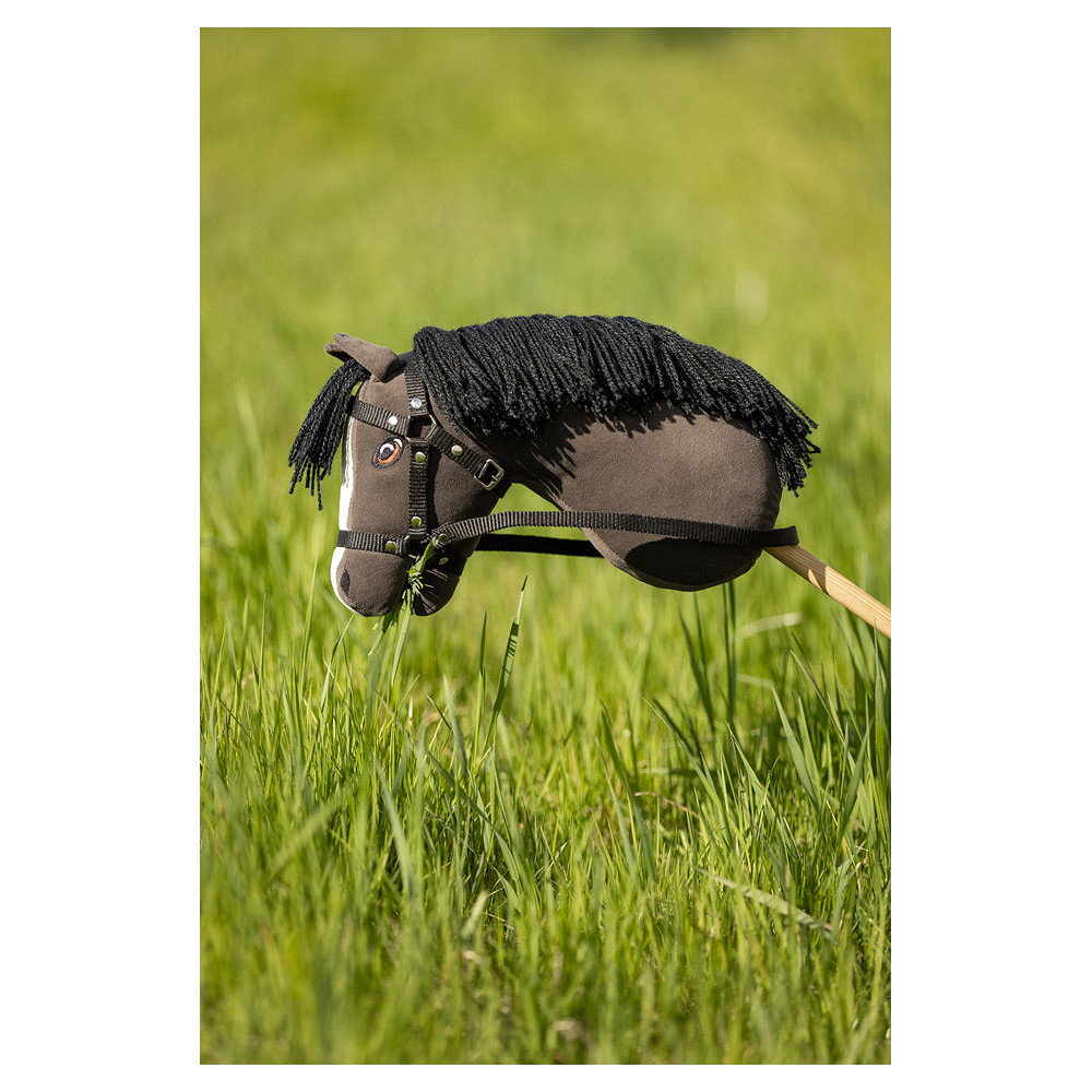 hobby-horse-br--2