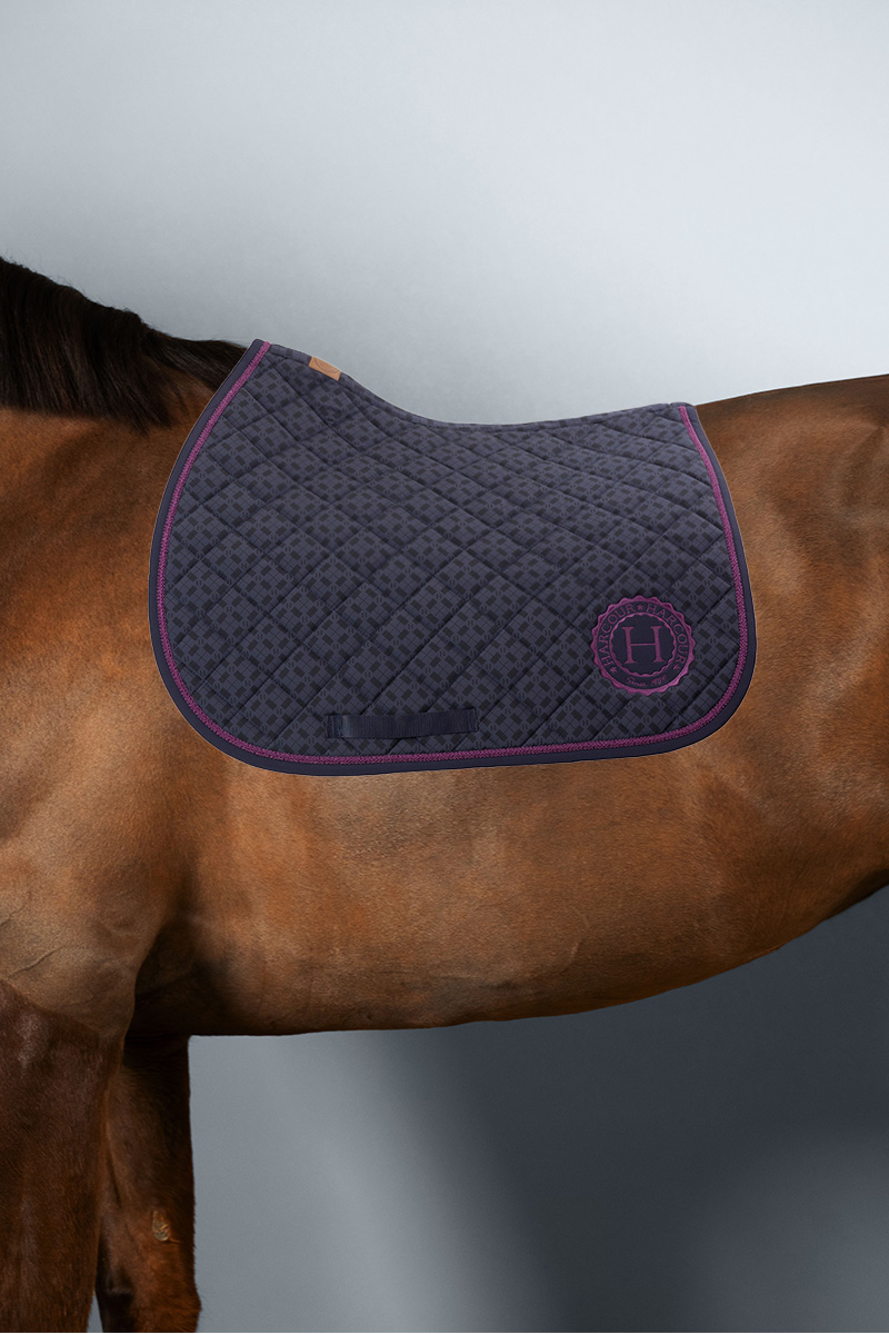 ALTESSE-CSO-1GVAL