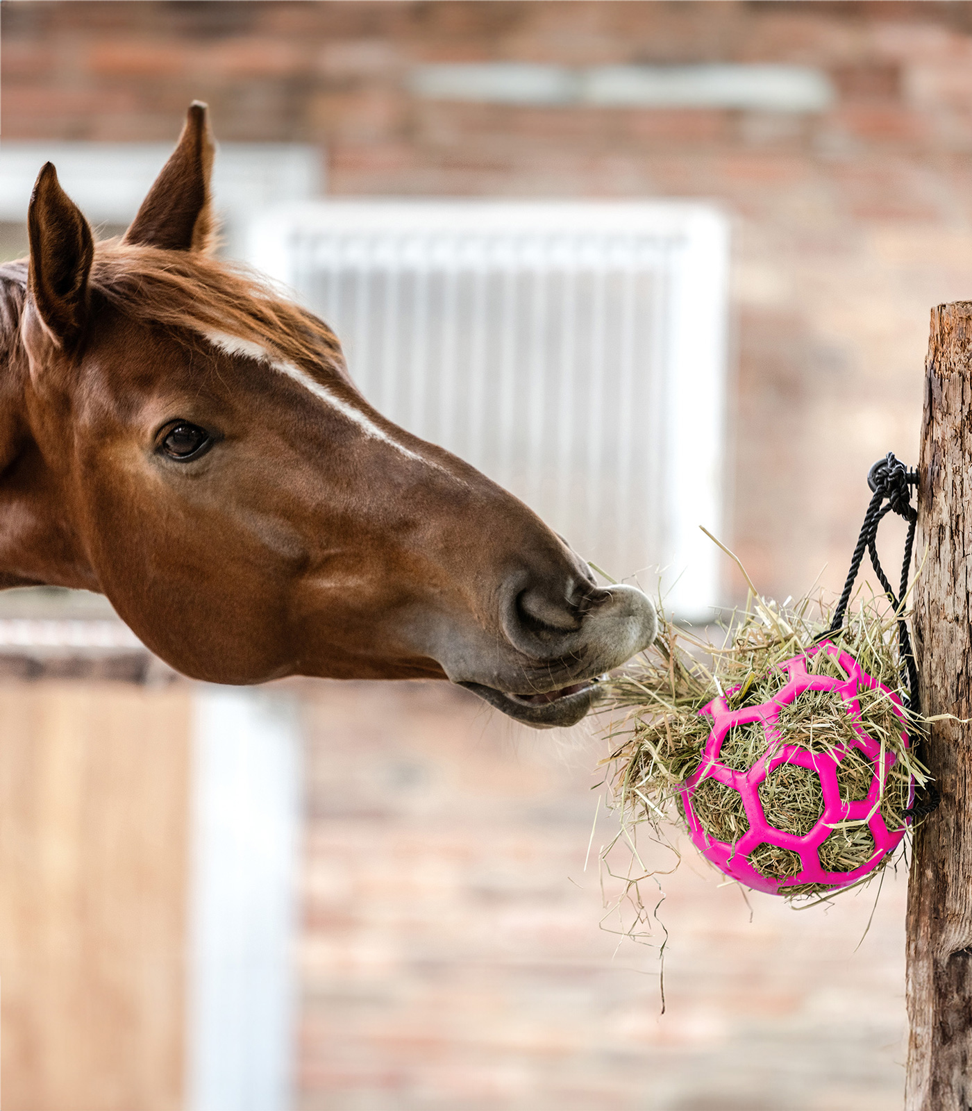 3871-boule-a-foin-rose-1