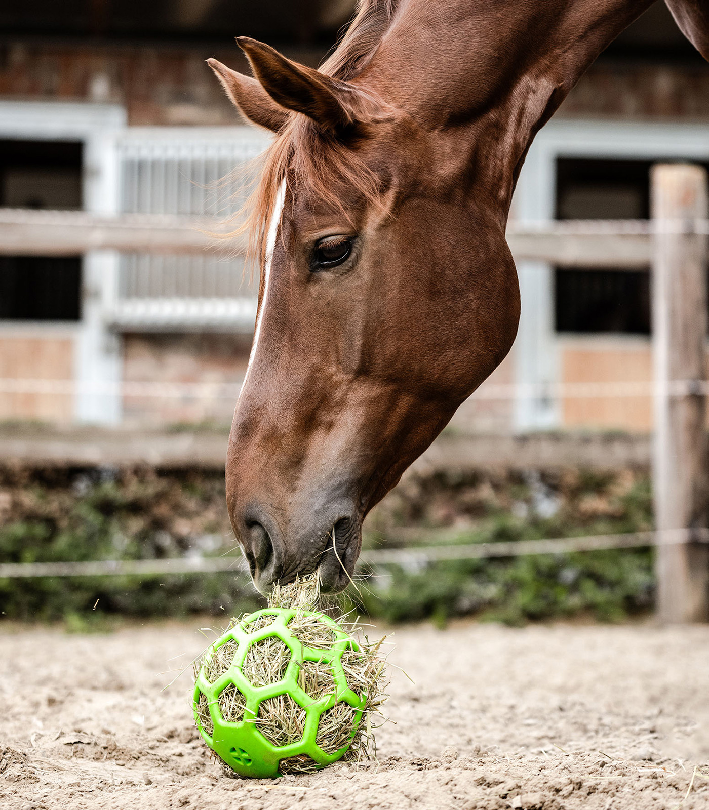 3871-boule-a-foin-vert-1
