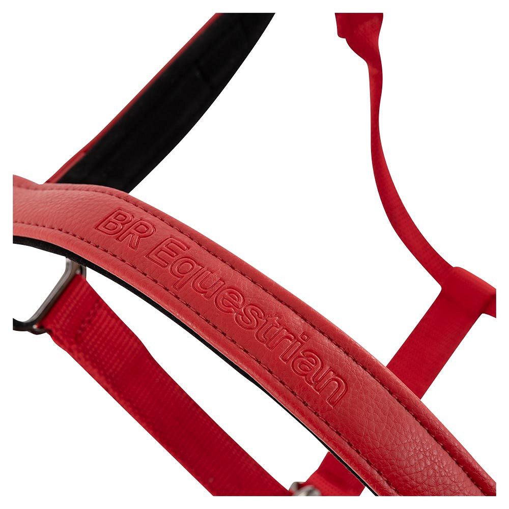 432340-licol-br-jade-rouge2