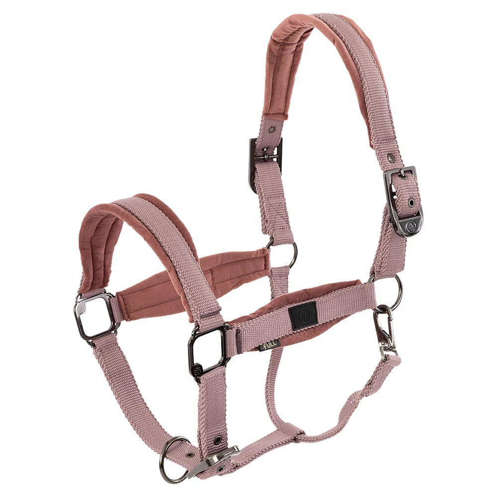 432341-licol-br-julia-rose