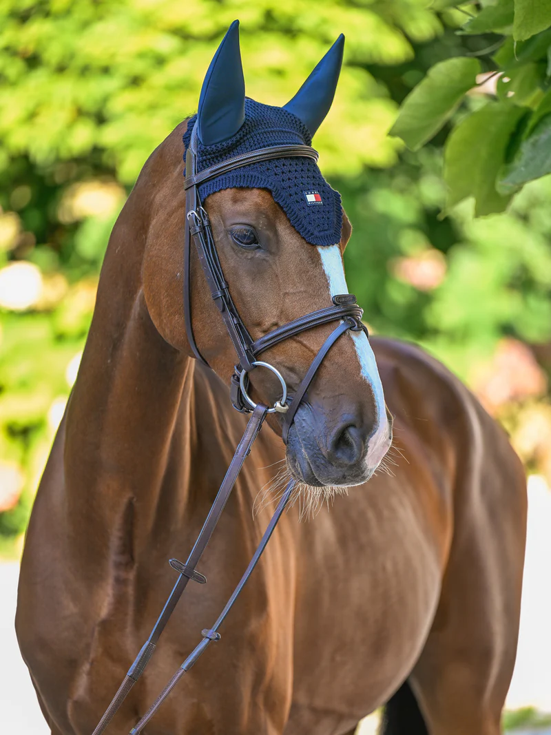 bonnet-anti-bruit-tommy-equestrian-lexington
