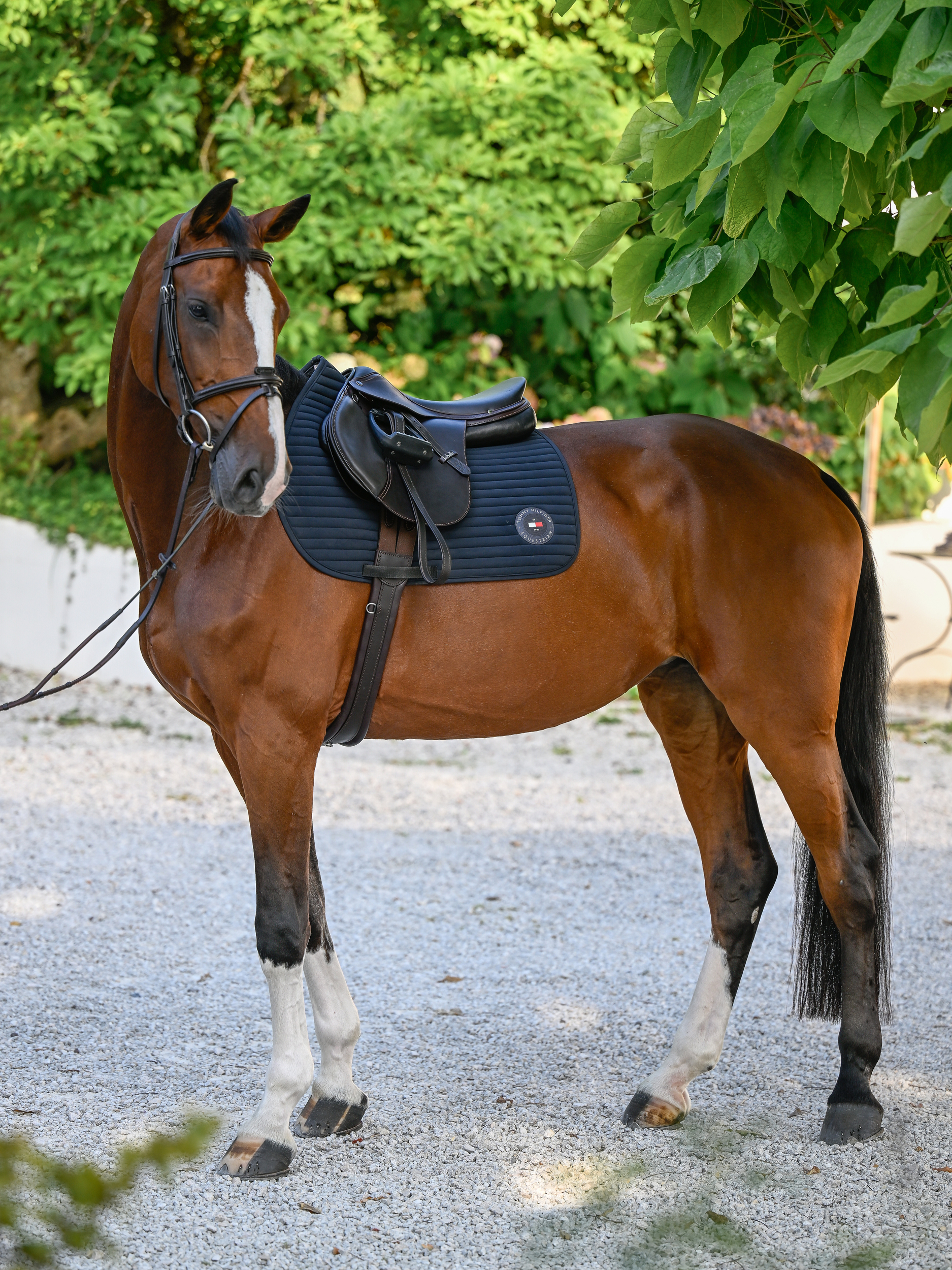 tapis-de-selle-tommy-hilfiger-upstate-navy (7)